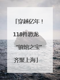 穿越亿年！118件恐龙“镇馆之宝”齐聚上海