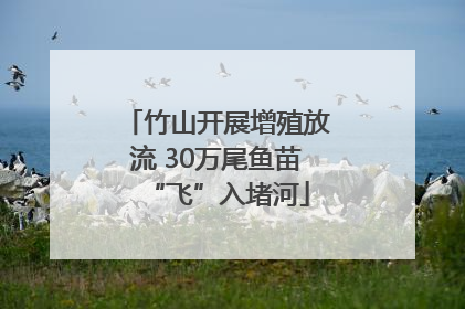 竹山开展增殖放流 30万尾鱼苗“飞”入堵河