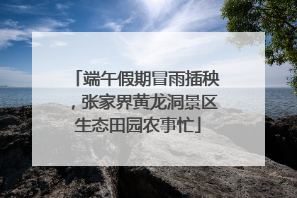 端午假期冒雨插秧，张家界黄龙洞景区生态田园农事忙