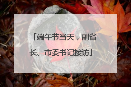 端午节当天，副省长、市委书记接访