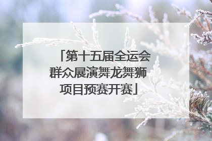 第十五届全运会群众展演舞龙舞狮项目预赛开赛