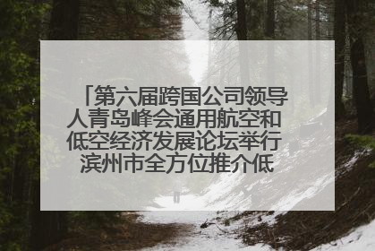第六届跨国公司领导人青岛峰会通用航空和低空经济发展论坛举行 滨州市全方位推介低空经济发展优势