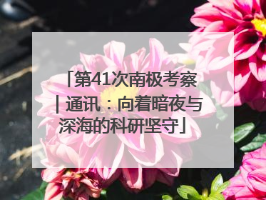第41次南极考察｜通讯：向着暗夜与深海的科研坚守