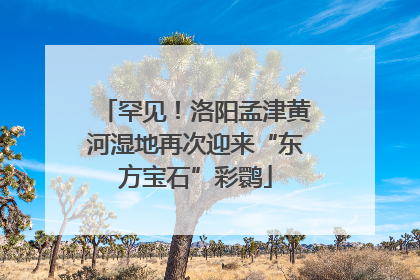 罕见！洛阳孟津黄河湿地再次迎来“东方宝石”彩鹮