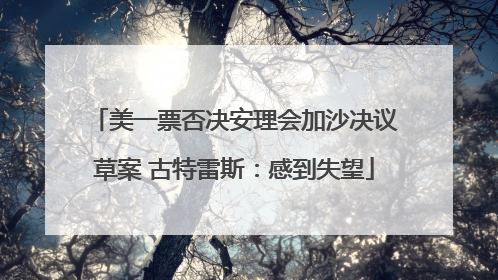 美一票否决安理会加沙决议草案 古特雷斯：感到失望