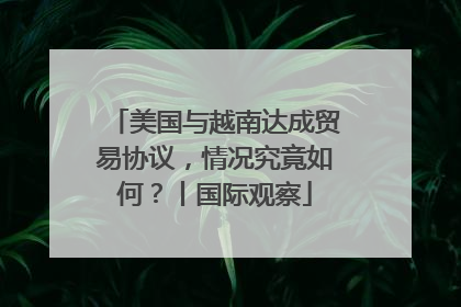 美国与越南达成贸易协议，情况究竟如何？丨国际观察