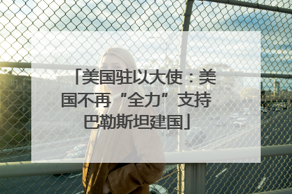 美国驻以大使：美国不再“全力”支持巴勒斯坦建国