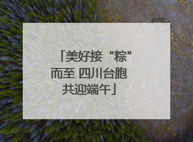 美好接“粽”而至 四川台胞共迎端午