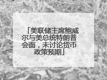 美联储主席鲍威尔与美总统特朗普会面，未讨论货币政策预期