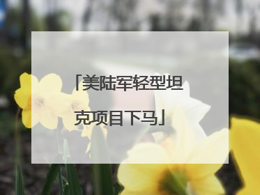 美陆军轻型坦克项目下马