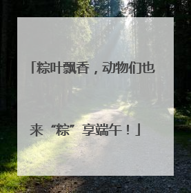 粽叶飘香，动物们也来“粽”享端午！