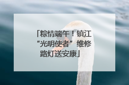 粽情端午！镇江“光明使者”维修路灯送安康