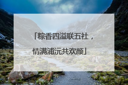 粽香四溢联五社，情满浦沅共欢颜