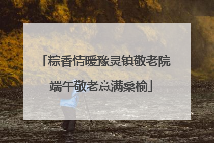 粽香情暖豫灵镇敬老院 端午敬老意满桑榆