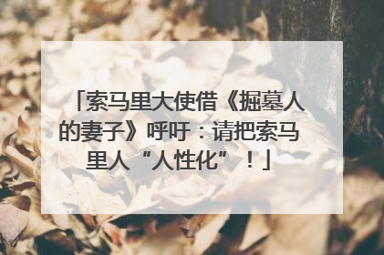 索马里大使借《掘墓人的妻子》呼吁：请把索马里人“人性化”！