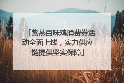 紫燕百味鸡消费券活动全面上线，实力供应链提供坚实保障