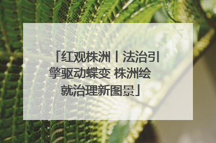 红观株洲丨法治引擎驱动蝶变 株洲绘就治理新图景