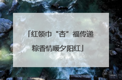红领巾“杏”福传递 粽香情暖夕阳红
