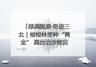 绿满陇原·奇迹三北｜梭梭林里种“黄金” 高台治沙致富很“从容”