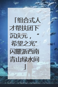 组合式人才帮扶团下沉庆元，“希望之光”闪耀浙西南青山绿水间