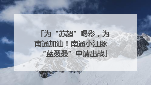 为“苏超”喝彩，为南通加油！南通小江豚“蓝叒叒”申请出战