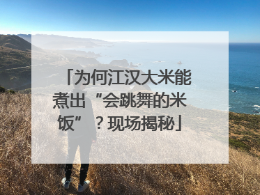 为何江汉大米能煮出“会跳舞的米饭”？现场揭秘