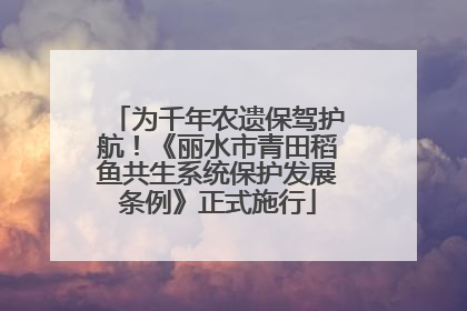 为千年农遗保驾护航！《丽水市青田稻鱼共生系统保护发展条例》正式施行