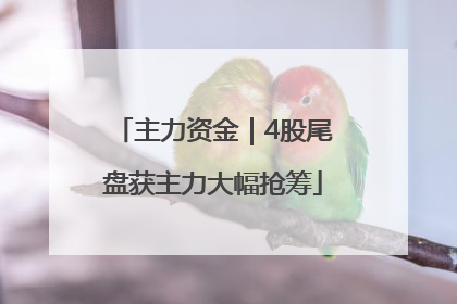 主力资金｜4股尾盘获主力大幅抢筹
