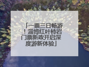 一票三日畅游！淄博红叶柿岩门票新政开启深度游新体验