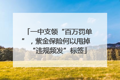 一中支领“百万罚单”，紫金保险何以甩掉“违规频发”标签