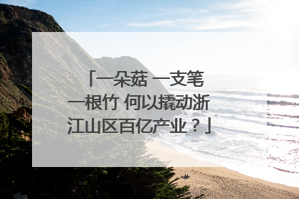 一朵菇 一支笔 一根竹 何以撬动浙江山区百亿产业？