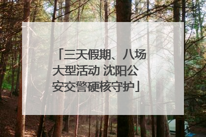 三天假期、八场大型活动 沈阳公安交警硬核守护