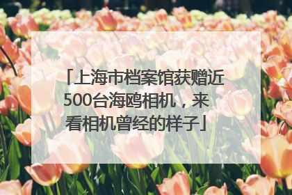 上海市档案馆获赠近500台海鸥相机，来看相机曾经的样子