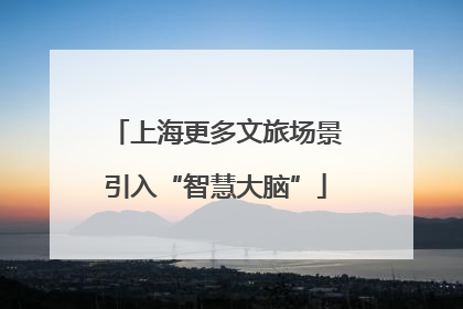 上海更多文旅场景引入“智慧大脑”