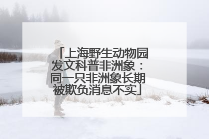 上海野生动物园发文科普非洲象：同一只非洲象长期被欺负消息不实