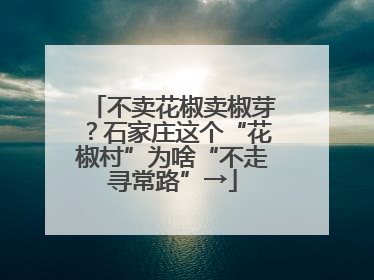 不卖花椒卖椒芽？石家庄这个“花椒村”为啥“不走寻常路”→