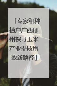 专家和种植户广西柳州探寻玉米产业提质增效新路径