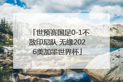 世预赛国足0-1不敌印尼队 无缘2026美加墨世界杯