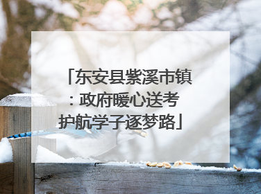 东安县紫溪市镇：政府暖心送考 护航学子逐梦路