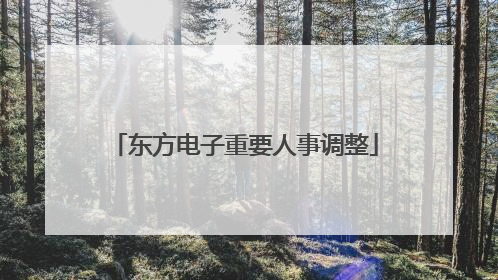 东方电子重要人事调整