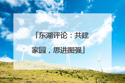 东湖评论：共建家园，思进图强