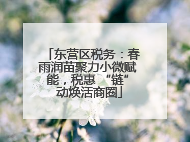 东营区税务：春雨润苗聚力小微赋能，税惠 “链” 动焕活商圈