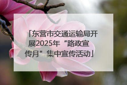 东营市交通运输局开展2025年“路政宣传月”集中宣传活动