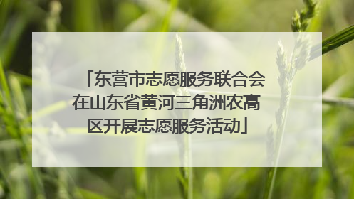 东营市志愿服务联合会在山东省黄河三角洲农高区开展志愿服务活动