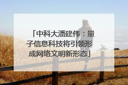 中科大潘建伟：量子信息科技将引领形成网络文明新形态