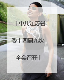 中共江苏省委十四届九次全会召开