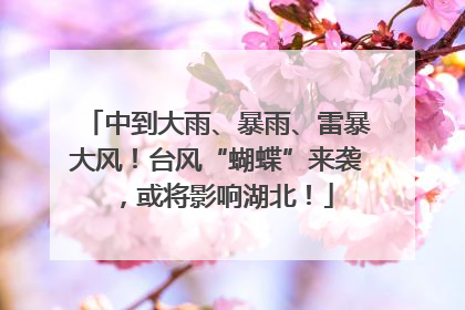 中到大雨、暴雨、雷暴大风！台风“蝴蝶”来袭，或将影响湖北！