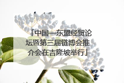 中国—东盟经贸论坛暨第三届链博会推介会在吉隆坡举行