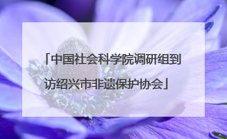 中国社会科学院调研组到访绍兴市非遗保护协会