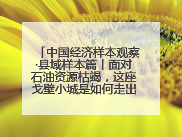 中国经济样本观察·县域样本篇丨面对石油资源枯竭，这座戈壁小城是如何走出困境的？